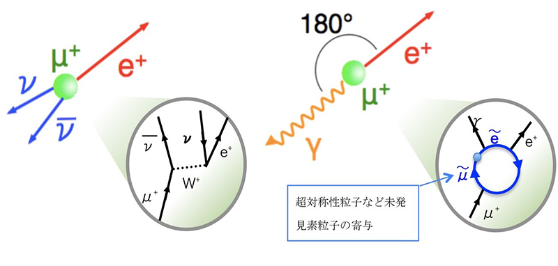ミュー粒子崩壊の比較